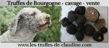 site de Claudine MIGNARD sur la truffe de Bourgogne