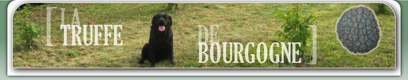 photo d'accueil