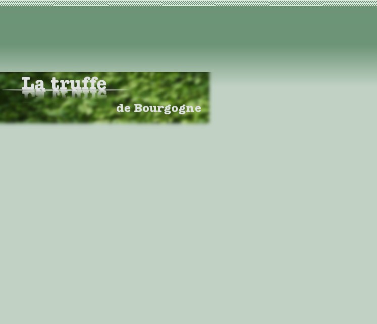 cavage et vente de truffes